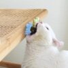 Natural Catnip Ball Stickon Wall Cat Toy Treats Healthy Natural Removes Hair Balls Pet Items Cats Mint Snack Pet Cat Accessories