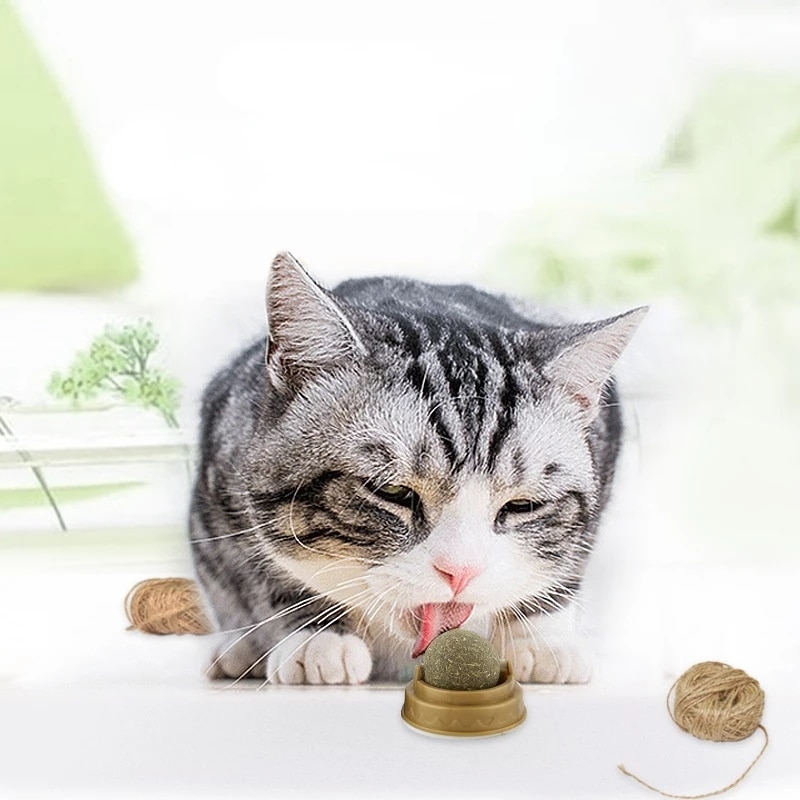 Natural Catnip Ball Stickon Wall Cat Toy Treats Healthy Natural Removes Hair Balls Pet Items Cats Mint Snack Pet Cat Accessories