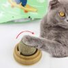 Natural Catnip Ball Stickon Wall Cat Toy Treats Healthy Natural Removes Hair Balls Pet Items Cats Mint Snack Pet Cat Accessories