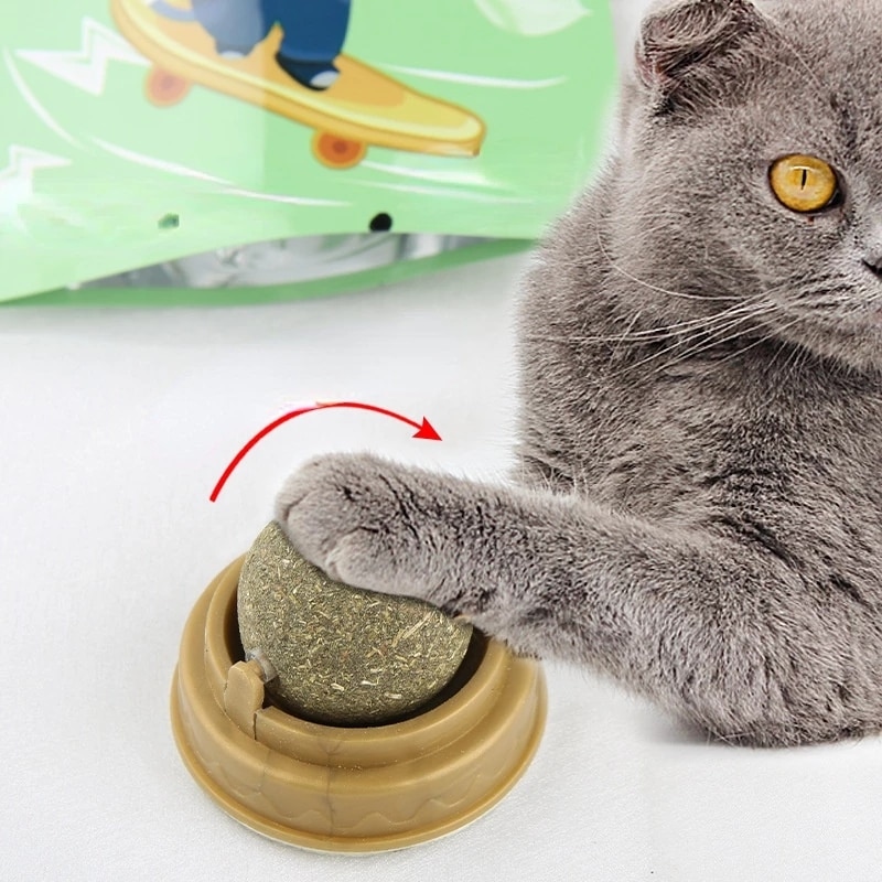 Natural Catnip Ball Stickon Wall Cat Toy Treats Healthy Natural Removes Hair Balls Pet Items Cats Mint Snack Pet Cat Accessories