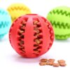 Soft Natural Rubber Dogs Ball Funny Interactive Extra-tough Elasticity Ball Puppy Chew Toy Tooth Cleaning Snack Toy Pet Products