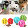 Soft Natural Rubber Dogs Ball Funny Interactive Extra-tough Elasticity Ball Puppy Chew Toy Tooth Cleaning Snack Toy Pet Products