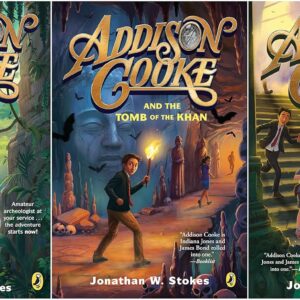 Addison Cooke Series 3 Books Set