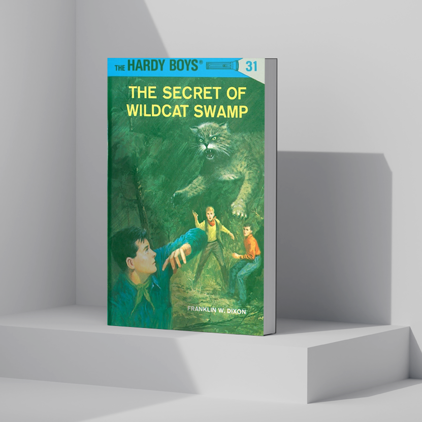 Hardy Boys Set, Books 31-40